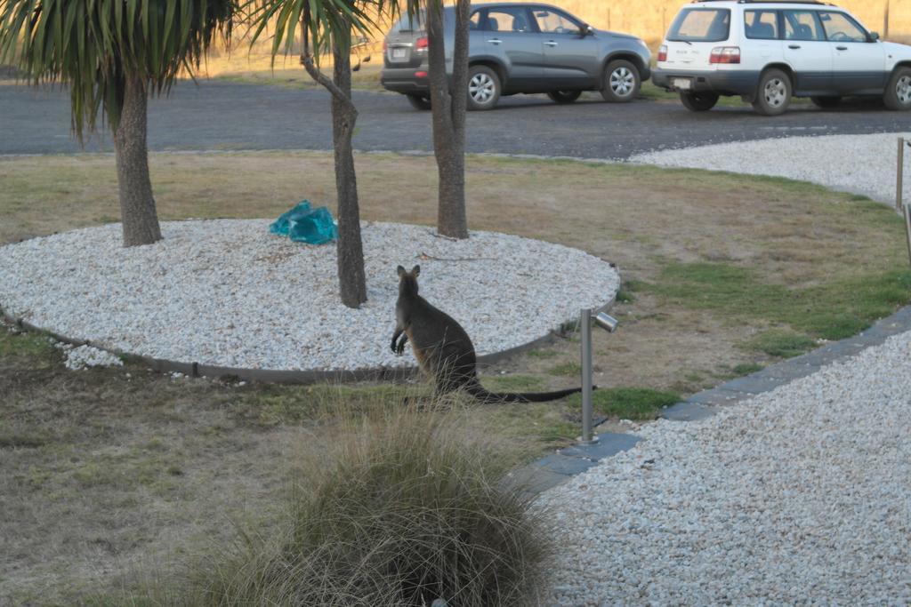 Clifftop Hotel Smiths Beach Luaran gambar